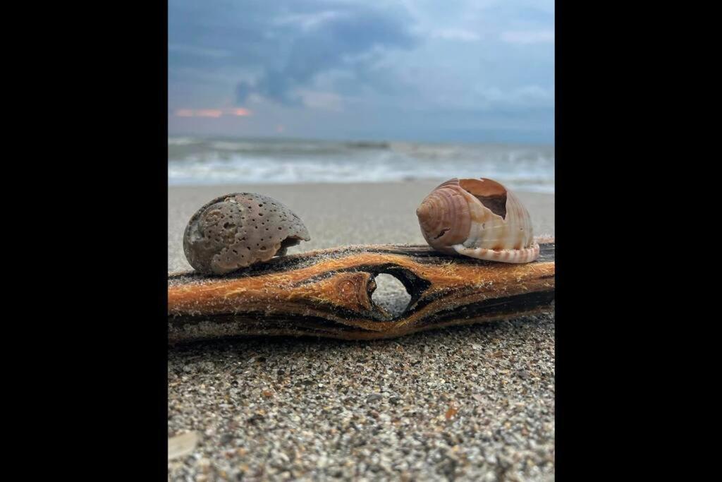 Cocoa, Beach House Buitenkant foto