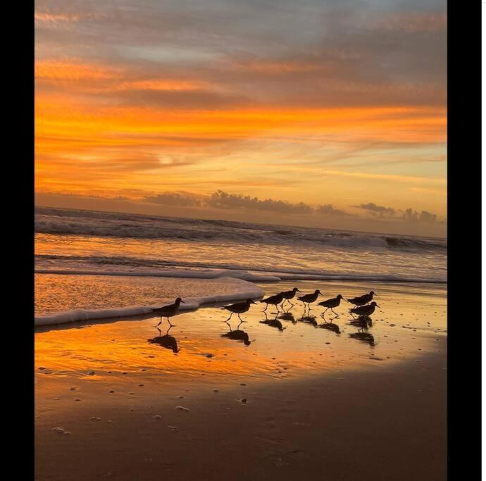 Cocoa, Beach House Buitenkant foto